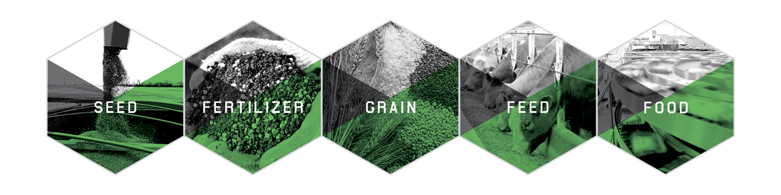 AGI operates across five platforms: Seed, Fertilizer, Grain, Feed, and Food
