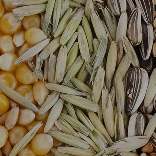 Soluciones de procesamiento de semillas