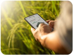 Grain loss from spoilage can cost you, every year.  Stop it before it starts. Image