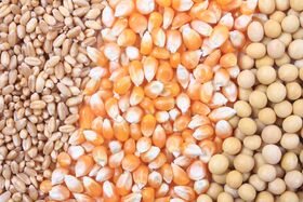 Ask the Doctor: Guiding Crops through Spring’s Changes