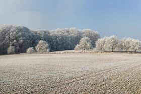 Ask the Doctor: Maintaining Grain Quality in Cold Weather