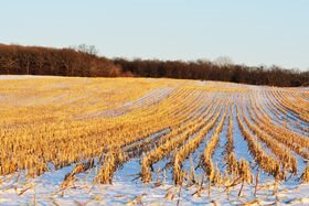 Ask the Doctor: Relative Humidity’s Importance in Winter