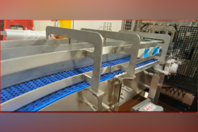 Custom Safety Guardrail System