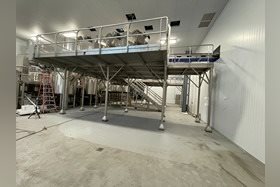 Washdown Platform with Integrated Conveyors