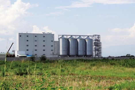 Burundi 21000 tons Wheat