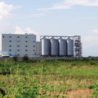 Burundi:  21 000 toneladas de trigo