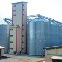 Iran 62000 tons Wheat