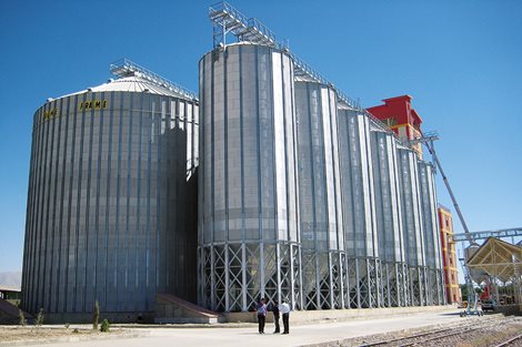 Iran 62000 tons White Maize