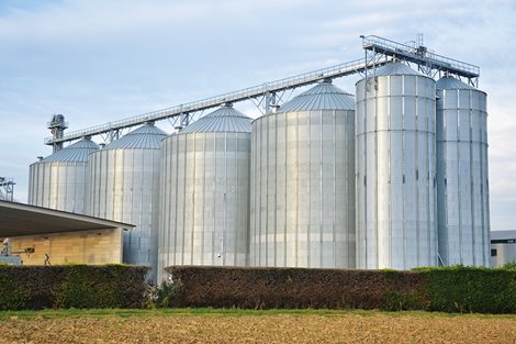 Italia: 20 000 toneladas de trigo
