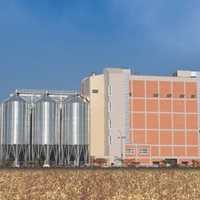 Italy 5000 tons Wheat