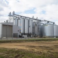 Lituania; 19 000 toneladas de maíz