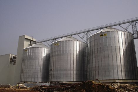 Nigeria 22000 tons Wheat