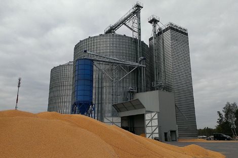 Poland 30000 tons Wheat