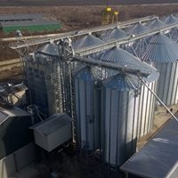 Romania 48000 tons Wheat
