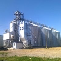 Rumania: 5 000 toneladas de trigo