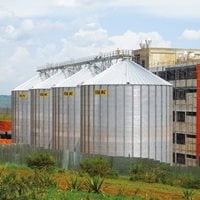 Ruanda: 12 000 toneladas de trigo