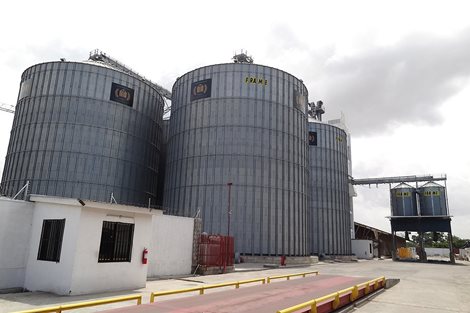 Tanzania 30000 tons Wheat