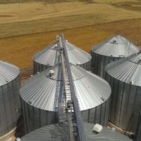 Turkey 30000 tons Wheat