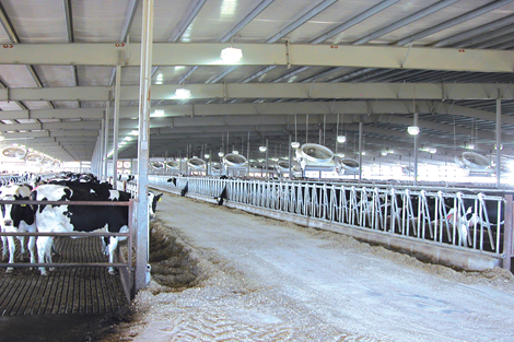 Dairy Facility Interior