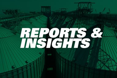 Reports and Insights
